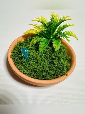 Terracotta Snail Planter with Green Moss & Mini Fern Accent
